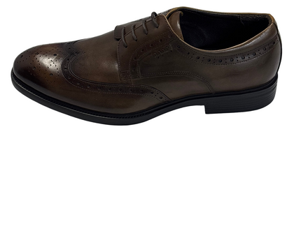SH-00439-1310-SH-DS5001-front
