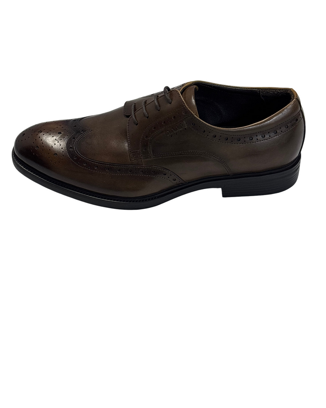 SH-00439-1310-SH-DS5001-front