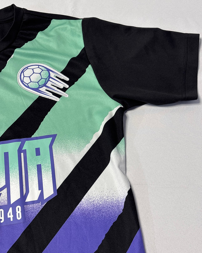 MC-06369-JRS-FKV006-details