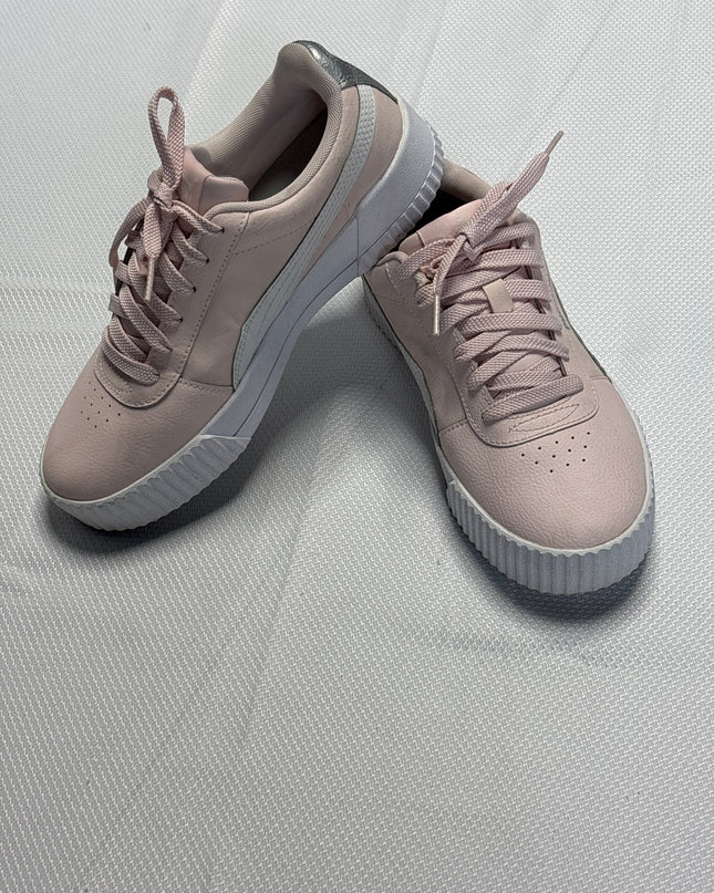 SH-00421-1310-SH-DS5001-extra