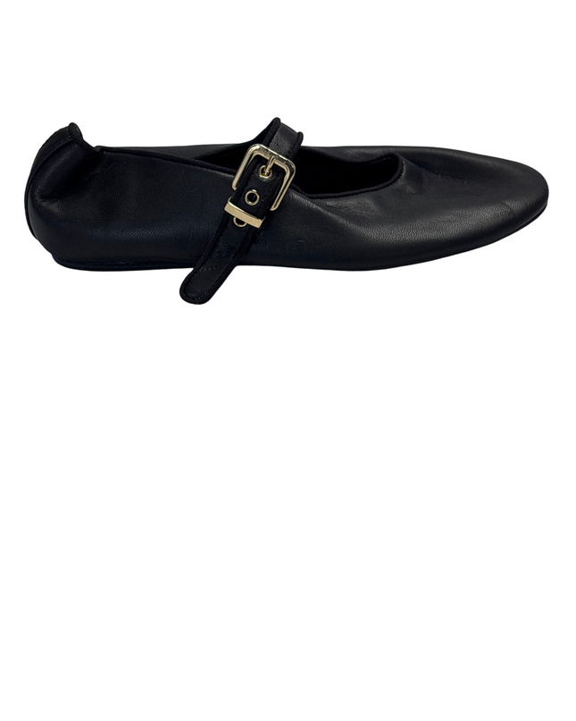 SH-00345-1310-SH-DS5001-front