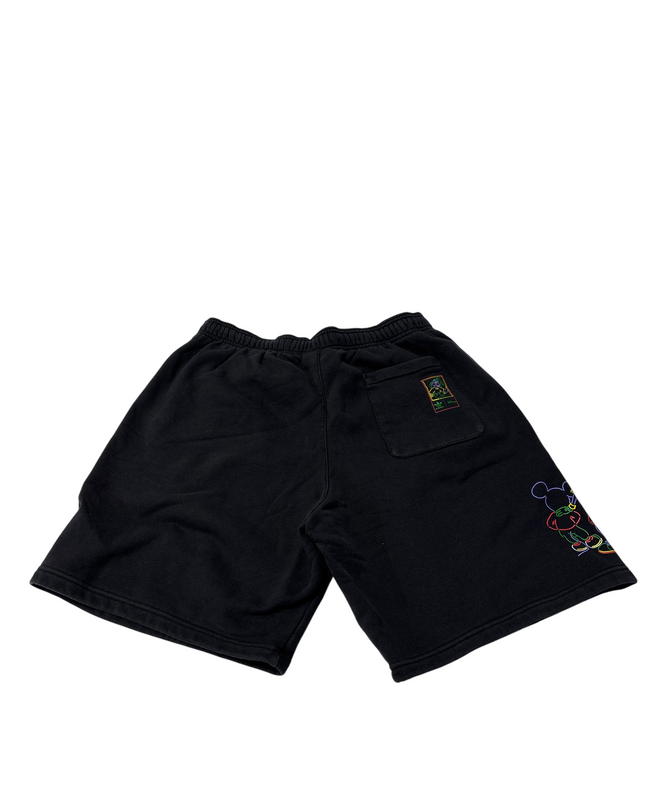 MC-06309-STS-FKV006-back