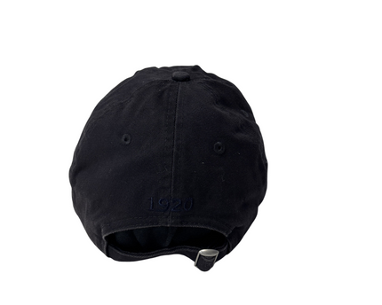 CP-00139-CAP-3PDL4001-back