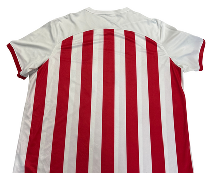 MC-06944-1313-CRCL-010-back