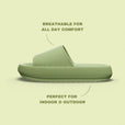 Olive / 36/37