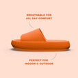 Orange / 36/37