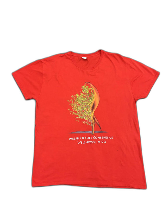 Fruit of the Loom Red Welsh Occult Conference 2020 Graphic T-Shirt - M