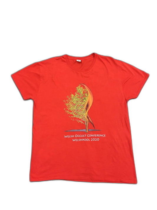 Fruit of the Loom Red Welsh Occult Conference 2020 Graphic T-Shirt - M