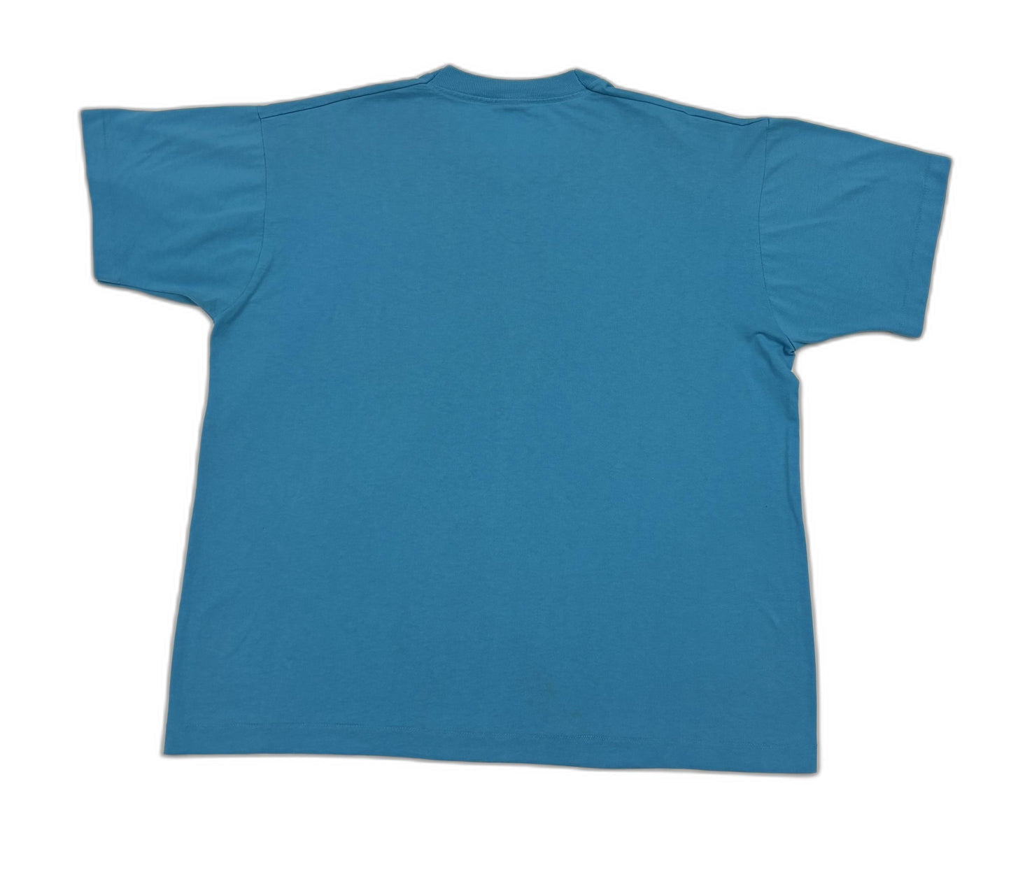 Fruit of the Loom "I Survived the Storm of the Century" Graphic Blue T-Shirt - XL